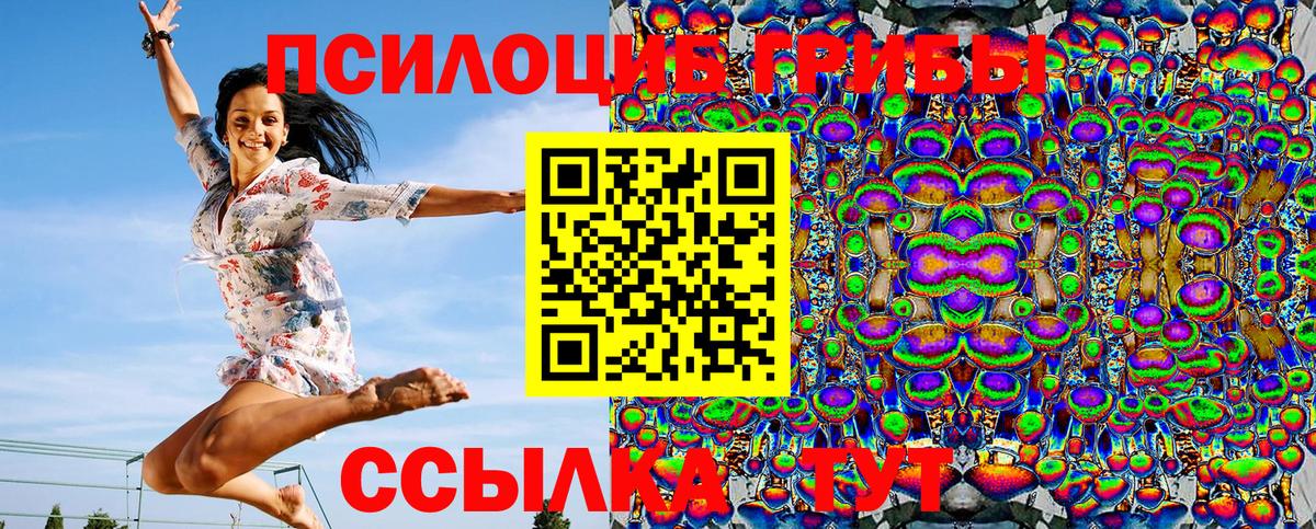 Псилоцибиновые грибы Cubensis Бор