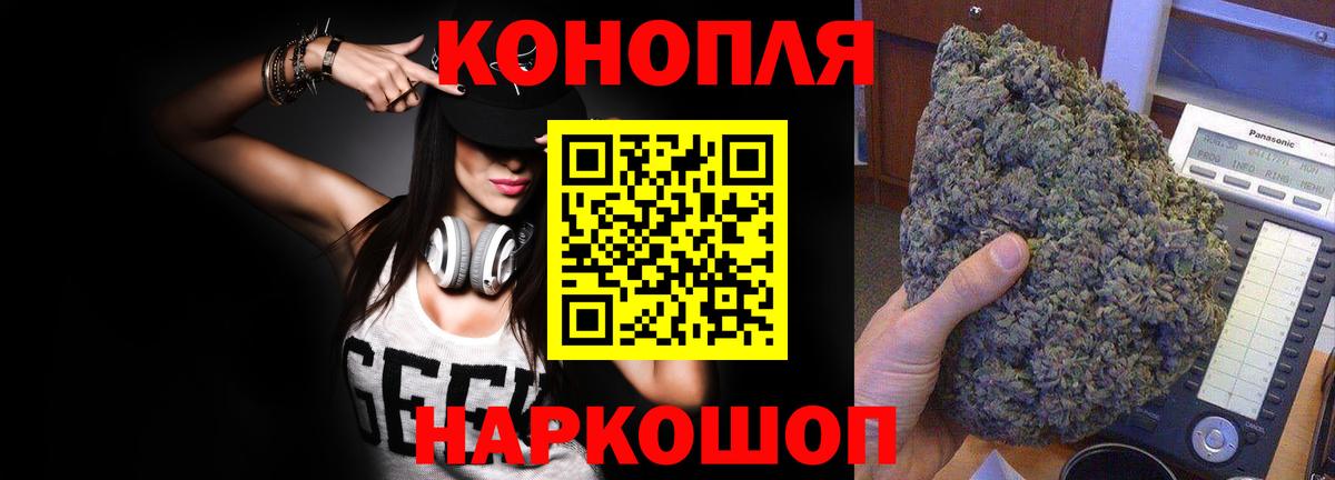 Бошки Шишки конопля Бор